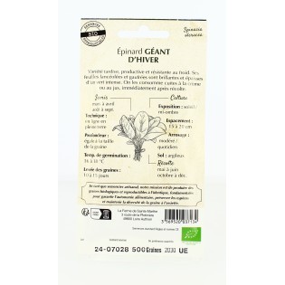 Epinard Géant d'Hiver- Semences reproductibles bio | FERME DE SAINTE MARTHE