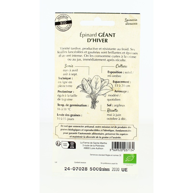 Epinard Géant d'Hiver- Semences reproductibles bio | FERME DE SAINTE MARTHE
