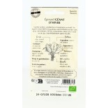 Epinard Géant d'Hiver- Semences reproductibles bio | FERME DE SAINTE MARTHE