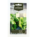 Epinard Géant d'Hiver- Semences reproductibles bio | FERME DE SAINTE MARTHE