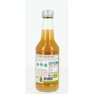 Concentré Citron Vert Menthe Bio - 25 cL | ETHIQUABLE