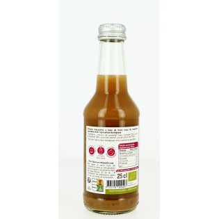 Concentré Gingembre Intense Bio - 25 cL | ETHIQUABLE