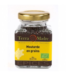 DATE DÉPASSÉE - Moutarde brune en grains bio