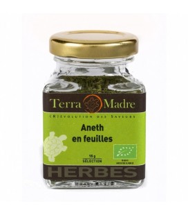 Aneth en feuilles bio (petit pot)