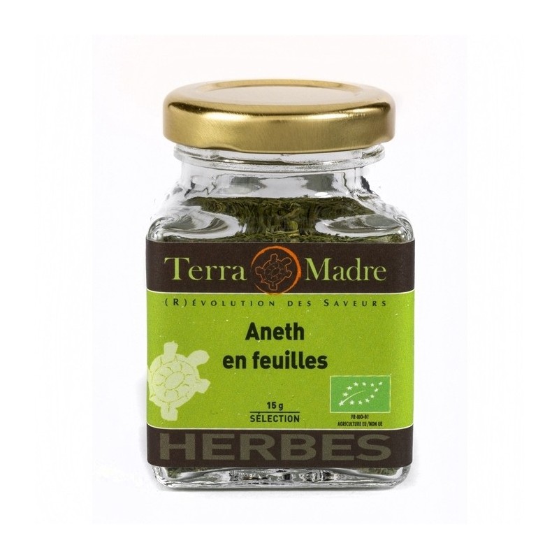 Aneth en feuilles bio