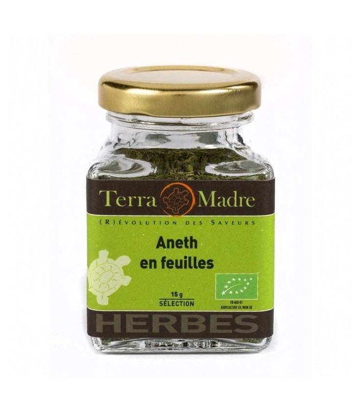 Aneth en feuilles bio (petit pot)