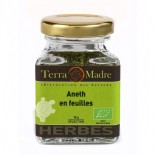 Aneth en feuilles bio