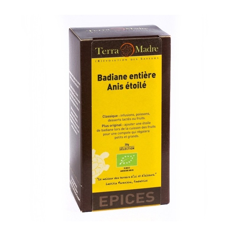 Badiane - Anis étoilé