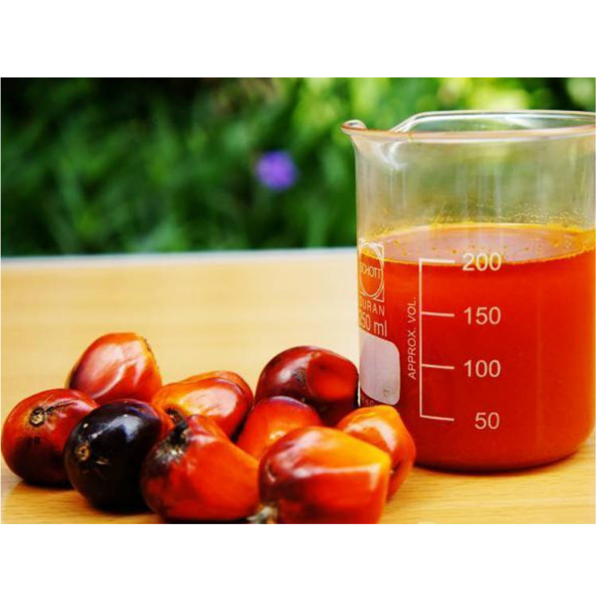 RedPalmOil