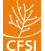 C F S I 